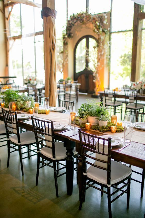 Potted plant wedding centrepieces